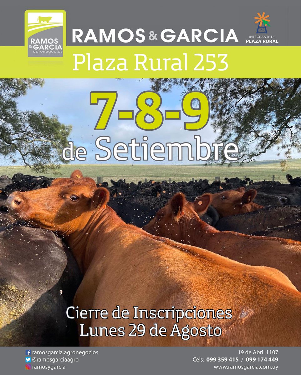 ✅YA ESTAMOS RECIBIENDO INSCRIPCIONES PARA EL PRÓXIMO REMATE DE <a href="/plazarural/">plazarural</a> ‼️
✅NO QUEDE AFUERA Y VENDA SU GANADO DE REPOSICIÓN EN EL MEJOR SISTEMA VIRTUAL DEL PAÍS‼️ 
 🎥🐮🐂🐑
