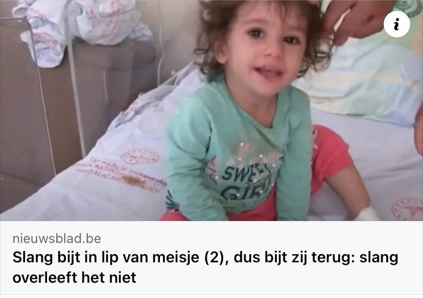 JLoeys's tweet photo. Deze griet is 2 en BIJT SLANGEN DOOD. Ik ben 28 en bang van telefoongesprekken. https://t.co/i9fsqcWUa4