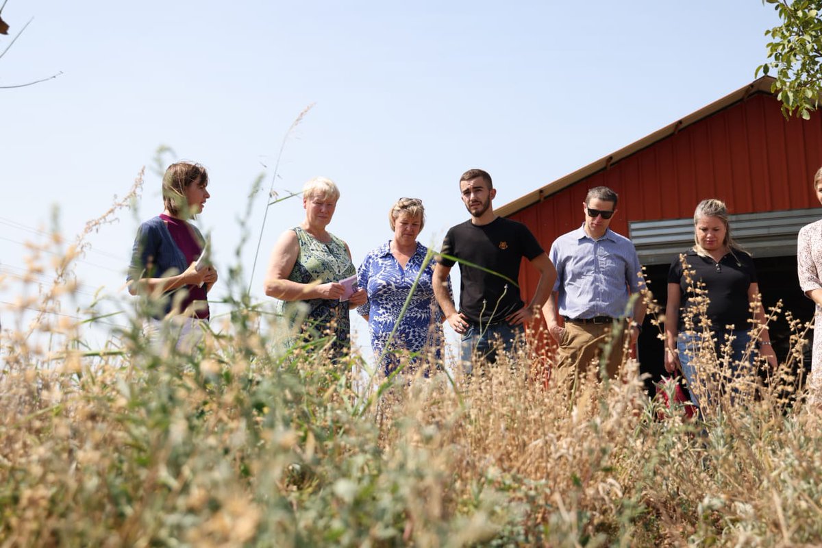 EUinAlbania's tweet photo. #SalviaNord in Koplik🇦🇱is another family run farm that is growing year by year also with 🇪🇺support. They cultivate sage, lavender &amp; seedlings of over 10 species of #aromaticplants. #EU4Innovation prog. assistance made them to reach new markets &amp; raise the number of their clients. https://t.co/zNnDwNvDz9