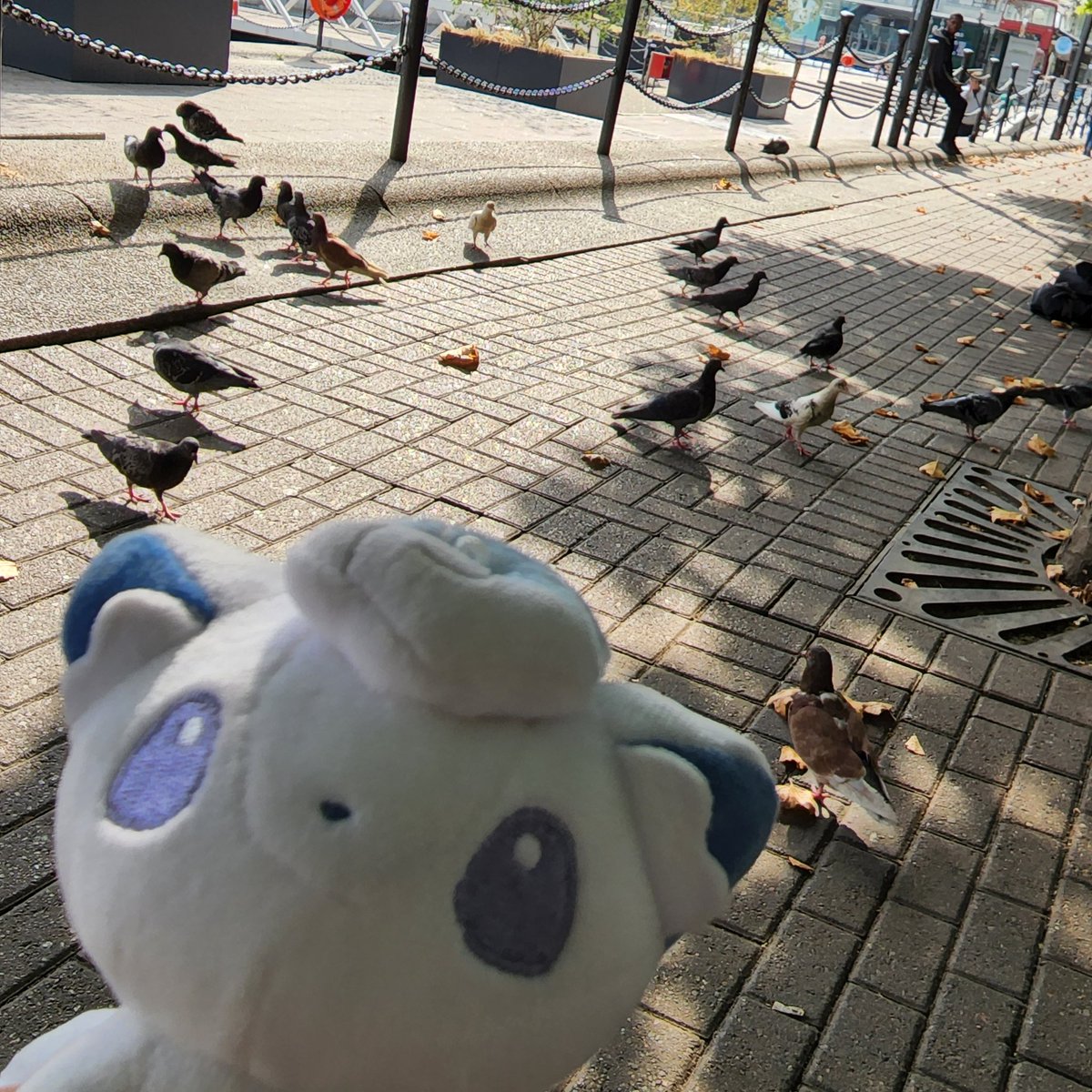 Faye at Worlds #poketravel tweet media