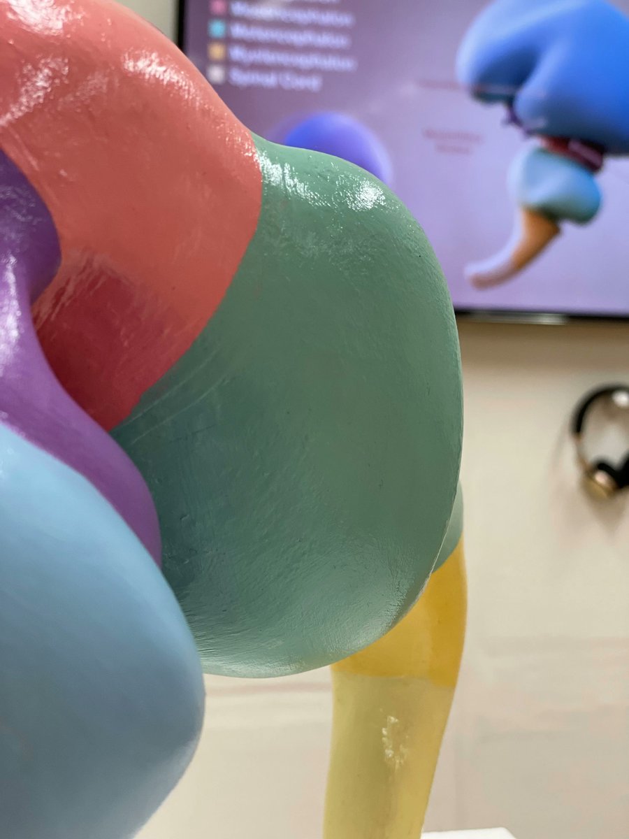 UoDCAHID's tweet image. Exciting to see our MSc Medical Art and MSc Forensic Art students putting up their Masters Show this week! The show runs from the 3rd - 11th of September. Get your tickets here: buff.ly/3dvmyrM 
#djcadMastersShow @DJCAD