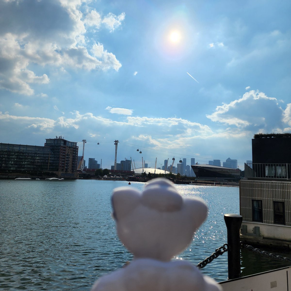 Faye at Worlds #poketravel tweet media