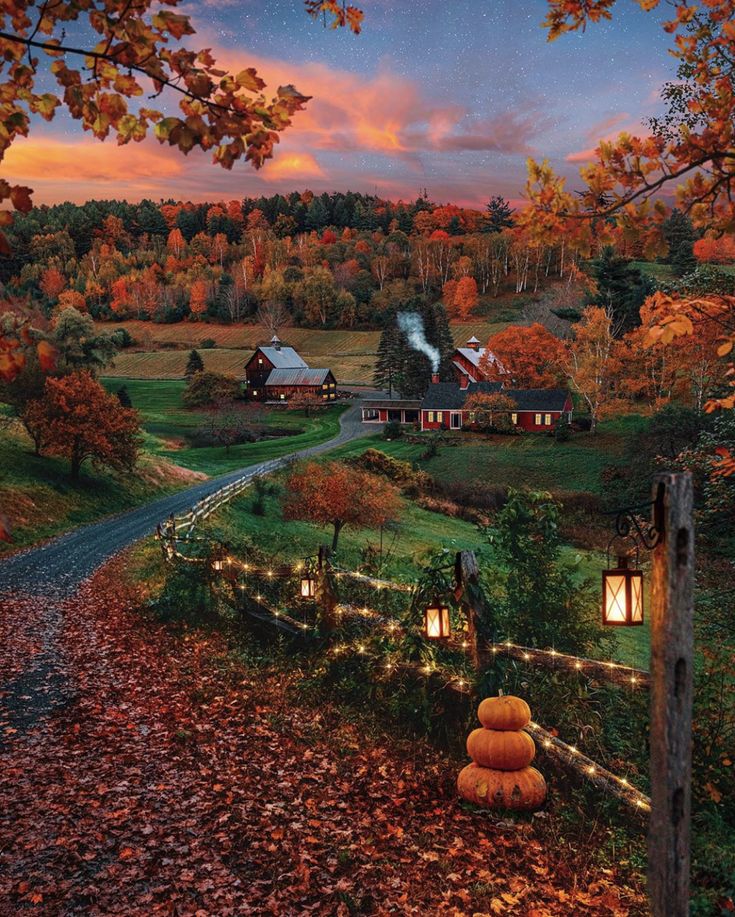 Fall Days are coming.

#FallisComing #Halloween #SpookySeason #Halloween2022