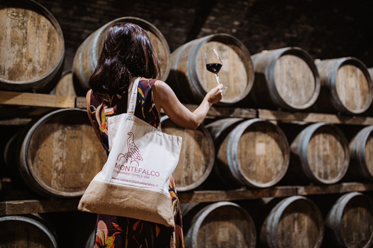 Degustazioni, laboratori, iniziative in cantina ed esperienze al calar del sole: dal 16 al 18 settembre torna “Enologica Montefalco - Abbinamenti”, che vedrà protagonista il vino in abbinamento al cibo, all’arte e alla musica.  #manifestazioni

lacittanews.it/enologica-mont…