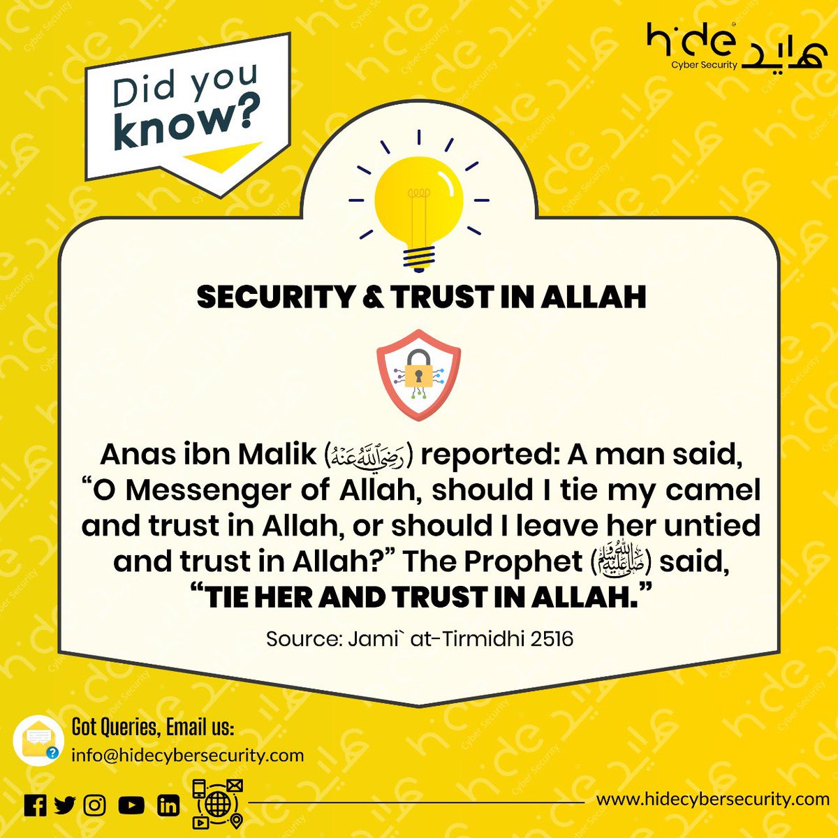 hidecybersec's tweet photo. #DidYouKnow https://t.co/sSJVbwa8BS