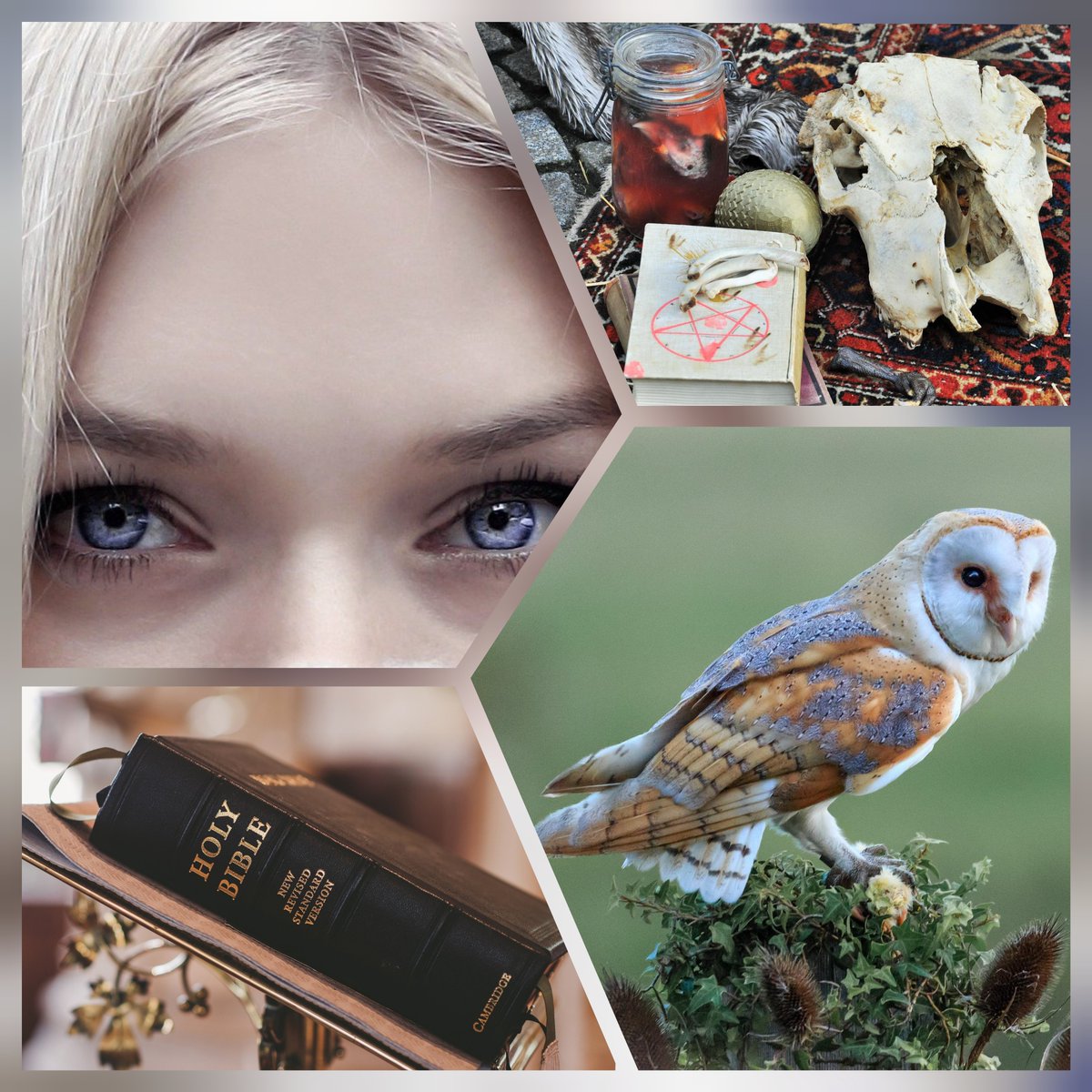 Rose_P_Katell's tweet photo. Premier jet terminé ✍️
Je commence le recopiage de la nouvelle ce soir 🦉
#Nouvelle #Ecriture #PremierJet #Recopiage #Imaginaire #SFFF #Fantastique #WebPubli #WebFiction #AutoEdition #Bientôt #Fresaie #ChouetteEffraie #Sorcière #Inquisition #Malédiction https://t.co/sZxzEO0Q0K