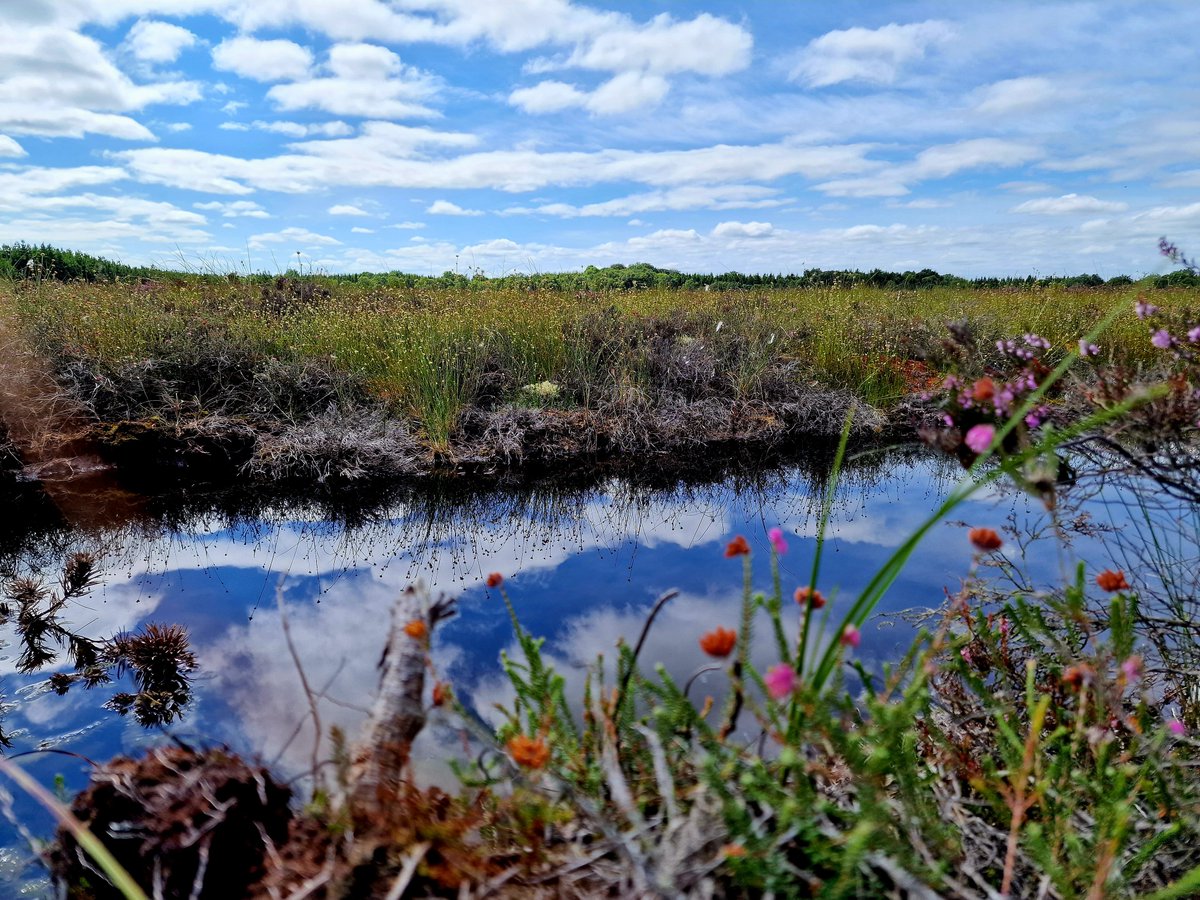 Dr Richa Marwaha tweet media