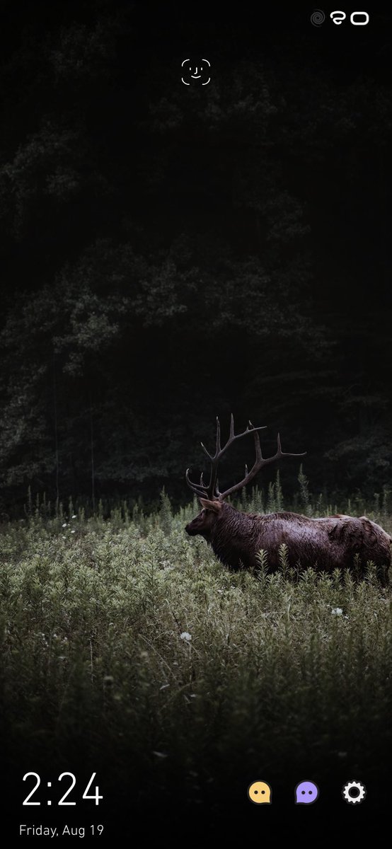 𝕂𝕙𝕦𝕝𝕦𝕕 ☃︎ tweet media