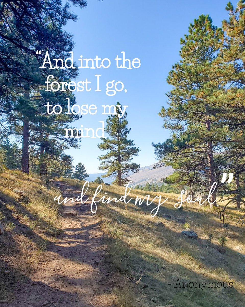 I have found that the longer I am out on a hike or trek, the more I feel an ease within myself and the more I notice a rhythm that was previously missed. Each moment spent walking through the forest or in the mountains brings me closer to that feeling a peace.
#pinetrees #hiking