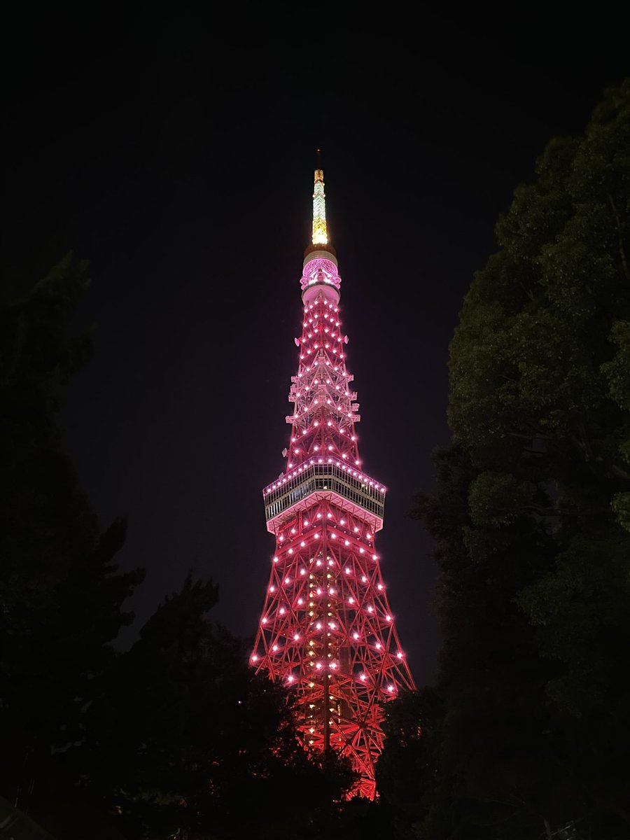 lalisaislava's tweet photo. Many passengers stopped to take photos of the tower๐ผ
#๋ธ๋ํํฌย ย #PinkVenomย ย #LightUpSEOULPink #YG https://t.co/0GPOKxuAkt