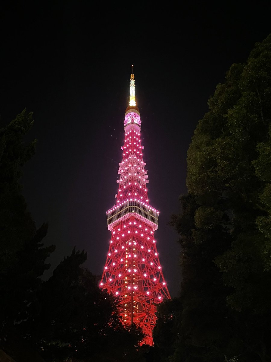 lalisaislava's tweet photo. Many passengers stopped to take photos of the tower๐ผ
#๋ธ๋ํํฌย ย #PinkVenomย ย #LightUpSEOULPink #YG https://t.co/0GPOKxuAkt