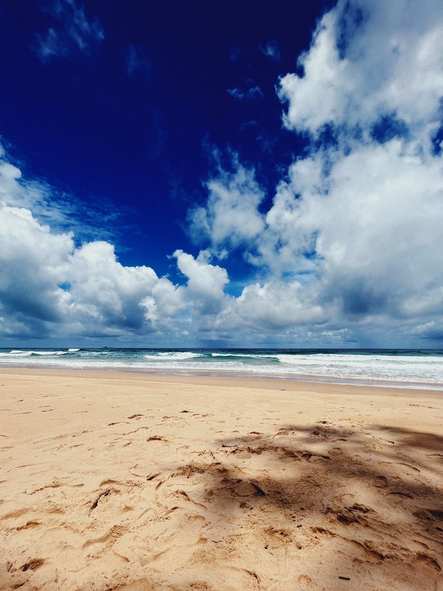 📍 “Work from Home”