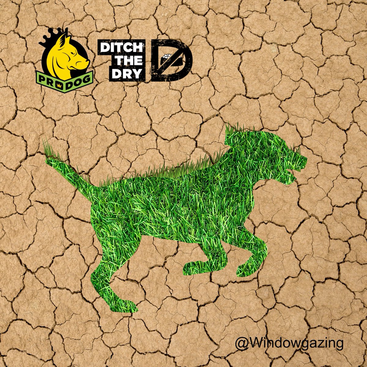 One Minute Brief of the Day: 
Create posters that encourage dog owners of all breeds to #DitchTheDry and switch to raw food with 
<a href="/ProDogRaw/">ProDog Raw</a> #ProdogRawUK 🐶🍗 <a href="/OneMinuteBriefs/">One Minute Briefs ⏱️</a>