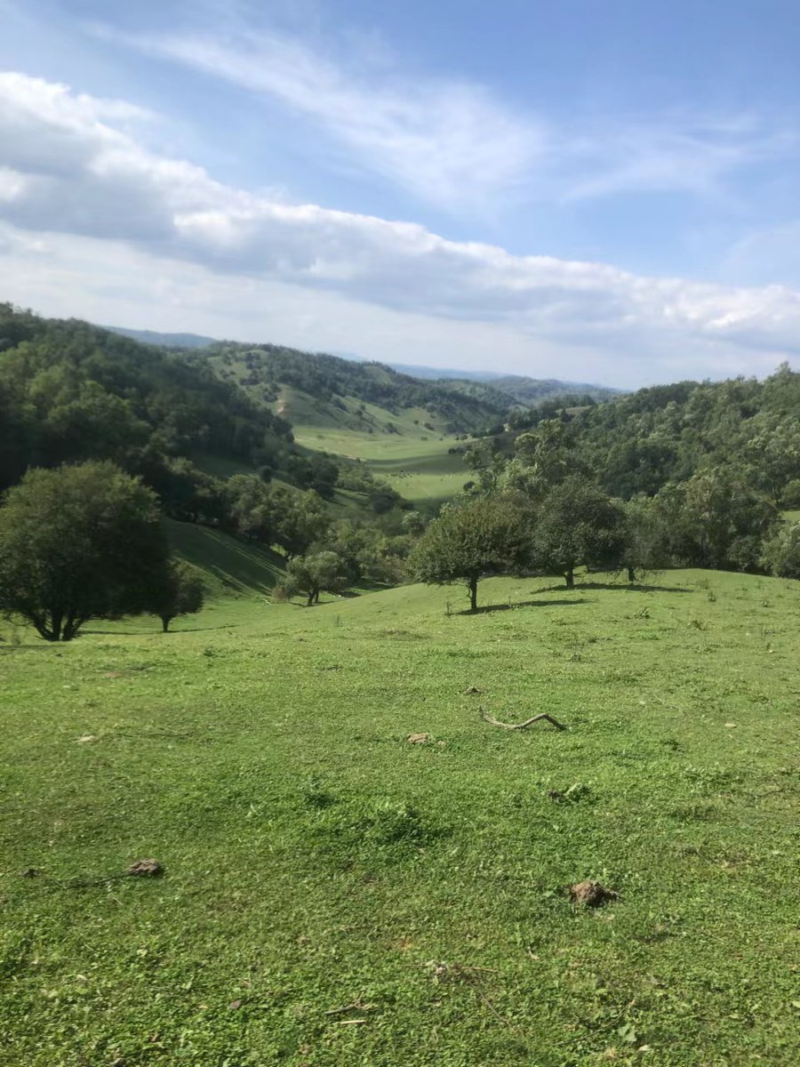 Last weekend, I have a great time in the grassland!