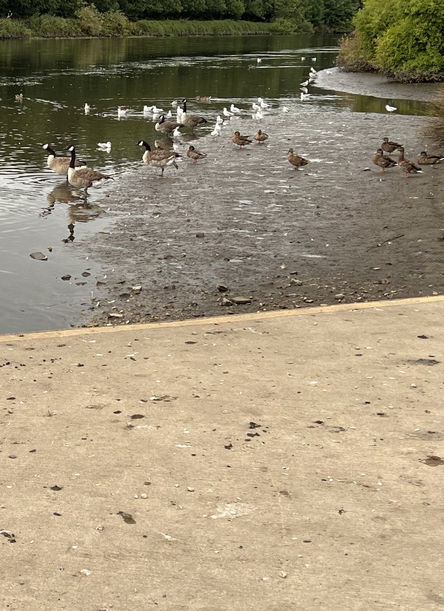 Jen Hinds tweet media