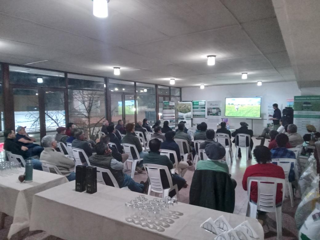 Sebafrade's tweet photo. Ayer terminamos un lindo ciclo de charlas junto a los amigos de @SerkanSemillas donde hablamos de novedades en pasturas y suplementación! Muchas gracias a los 160 productores y técnicos que nos acompañaron en Guichon, Tomas Gomensoro y Tacuarembo 🇺🇾🇺🇾!

@agrifirmuy https://t.co/CJybBZ1X5b