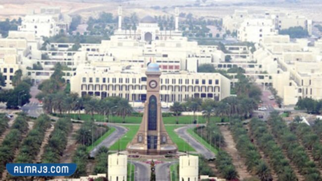 alwi_999's tweet photo. الجامعات تُحيي المدن، والطلاب يجعلونها نابضة بالحياة.. ويحركون دورة اقتصادية كاملة معهم وخير مثال منطقة الخوض في مسقط كيف انتعشت بعد بناء جامعة قابوس. لكن المشكلة أن هذا النمو أصبح خارج عن السيطرة وهنالك عشوائية في السكنات تجعل الطلبة في خيارات بين سيء وأسوأ. #سكن_مناسب_مطلبنا https://t.co/Y1ly9rmcJo