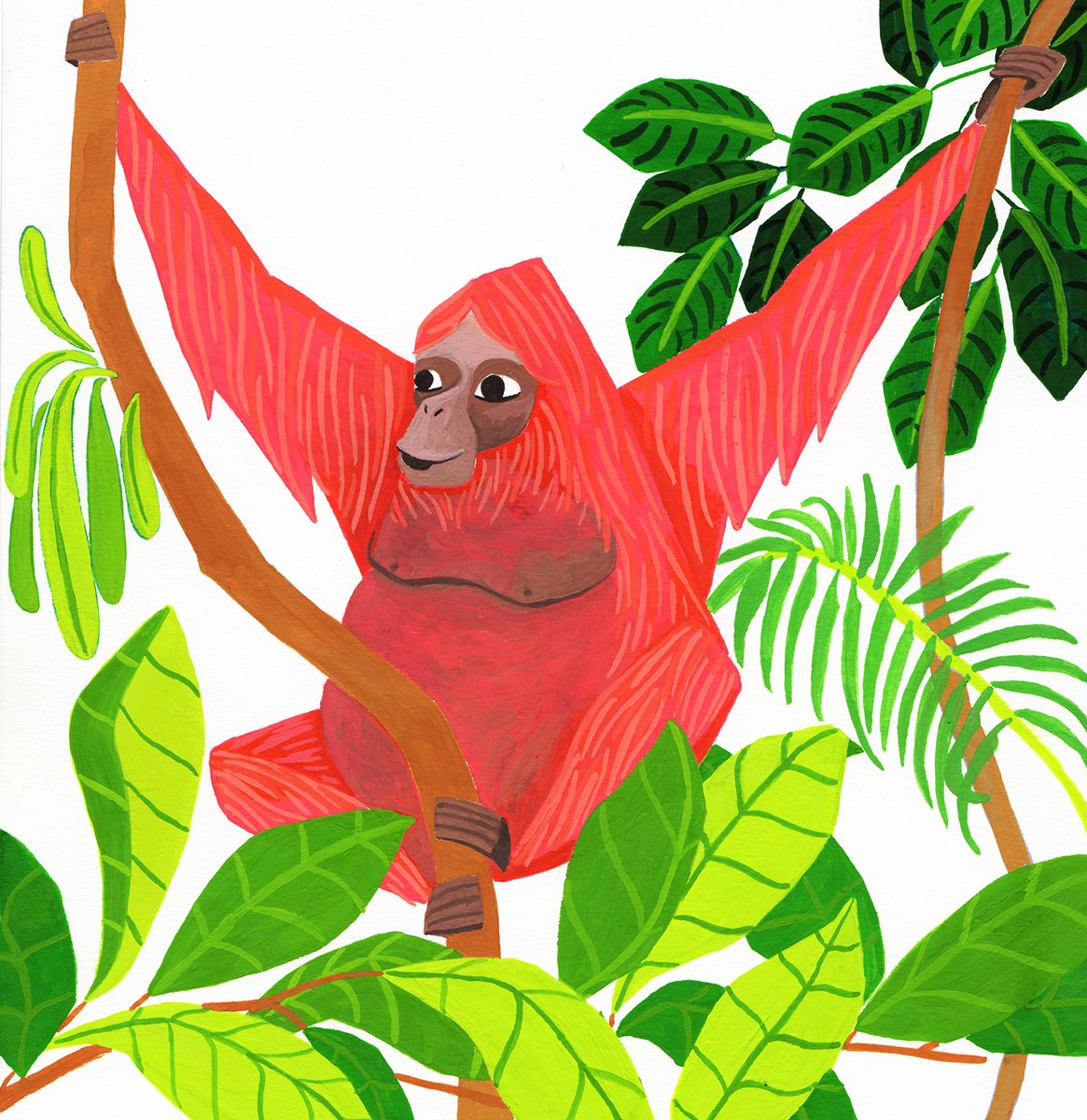 Happy International Orangutan Day! Orang hutan is Malay for 'person of the forest.' #InternationalOrangutanDay #orangutan