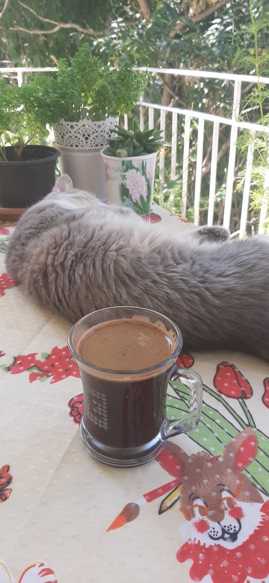 Burçin Gerçek tweet media