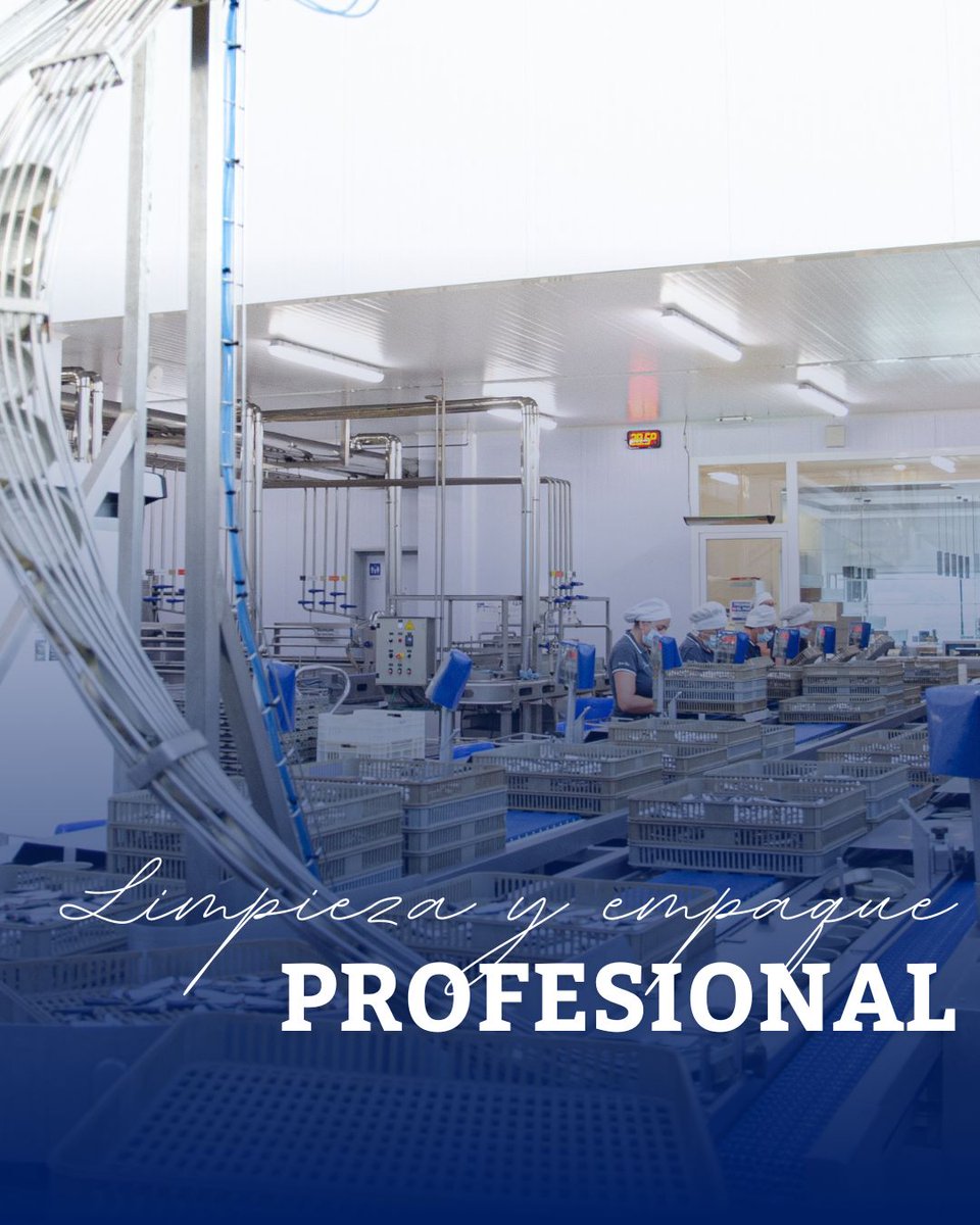 El extremo cuidados en los procesos y un exhaustivo control de la seguridad y limpieza alimentaria en nuestra fábrica🤍