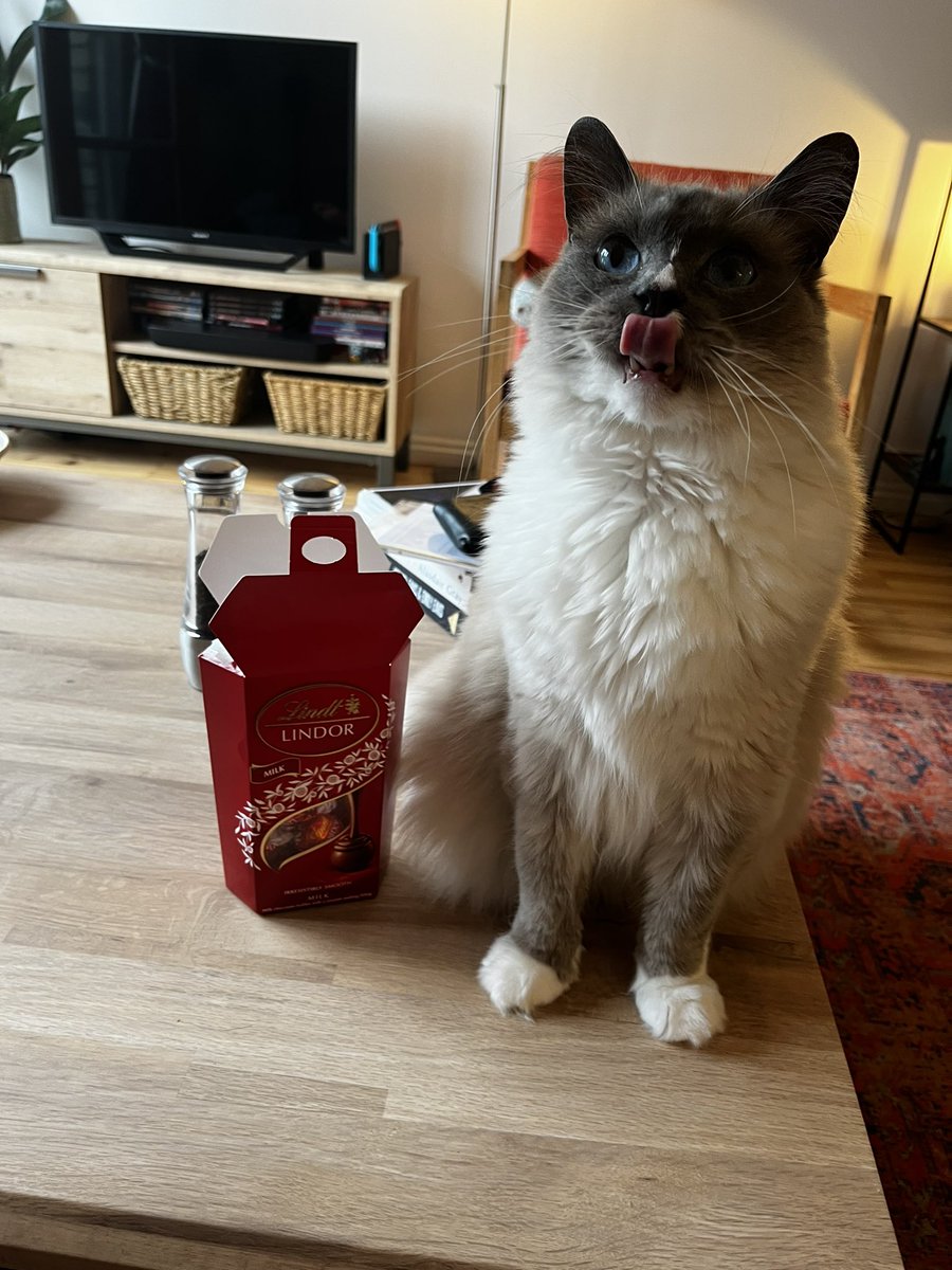 rememberwhen91's tweet photo. @memesiwish This is Biscuits https://t.co/fPn6XSBjTl