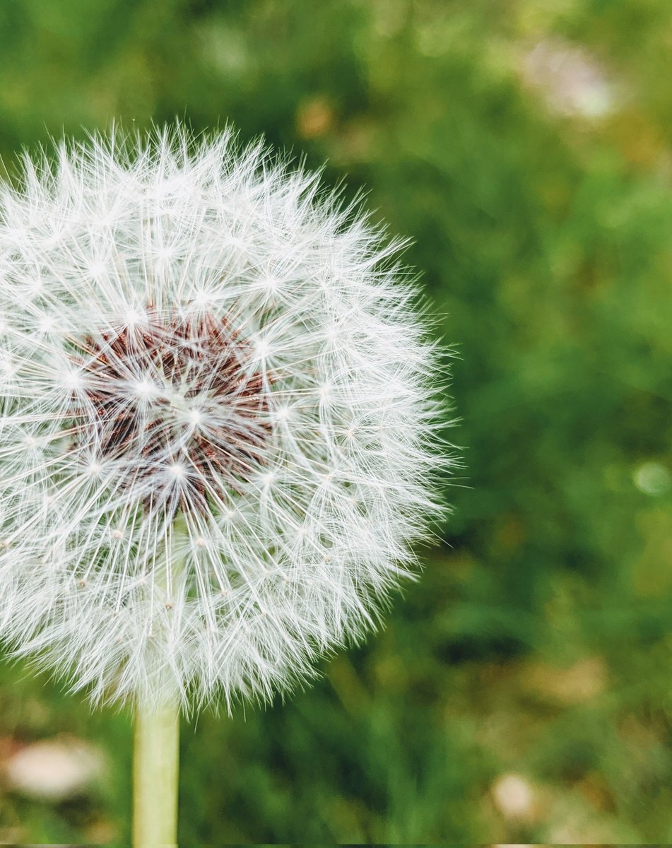 Debbie O. tweet media