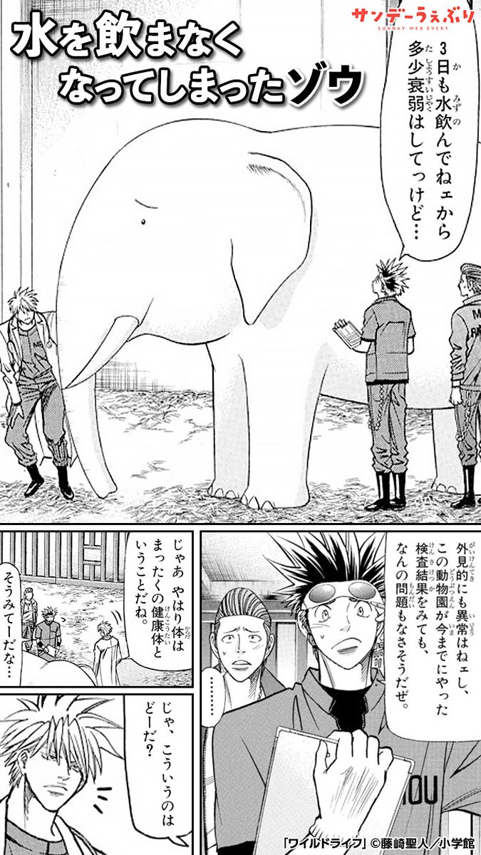 水を飲まなくなったゾウ。
その理由は…(1/3)

#ワイルドライフ #PR
#漫画が読めるハッシュタグ

<<<続きを読む>>>
https://t.co/R89GWsEGtU 