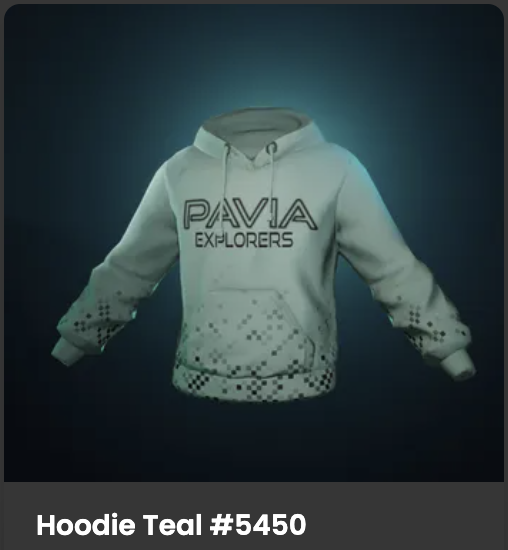 BullishFamily's tweet photo. @Pavia_io @readyplayerme This new merch is 🔥 #PaviaExplorers https://t.co/F94zYRoiQB