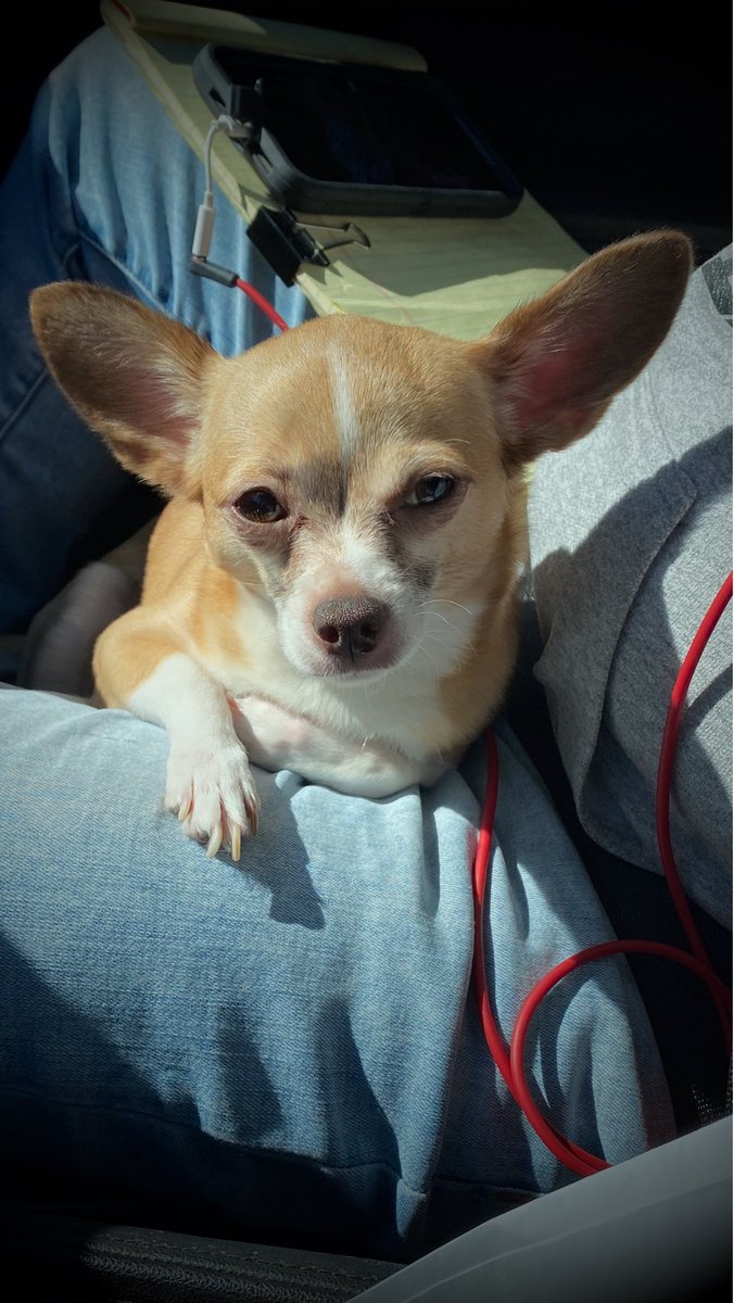 SumaDat Rub Seasoning tweet media