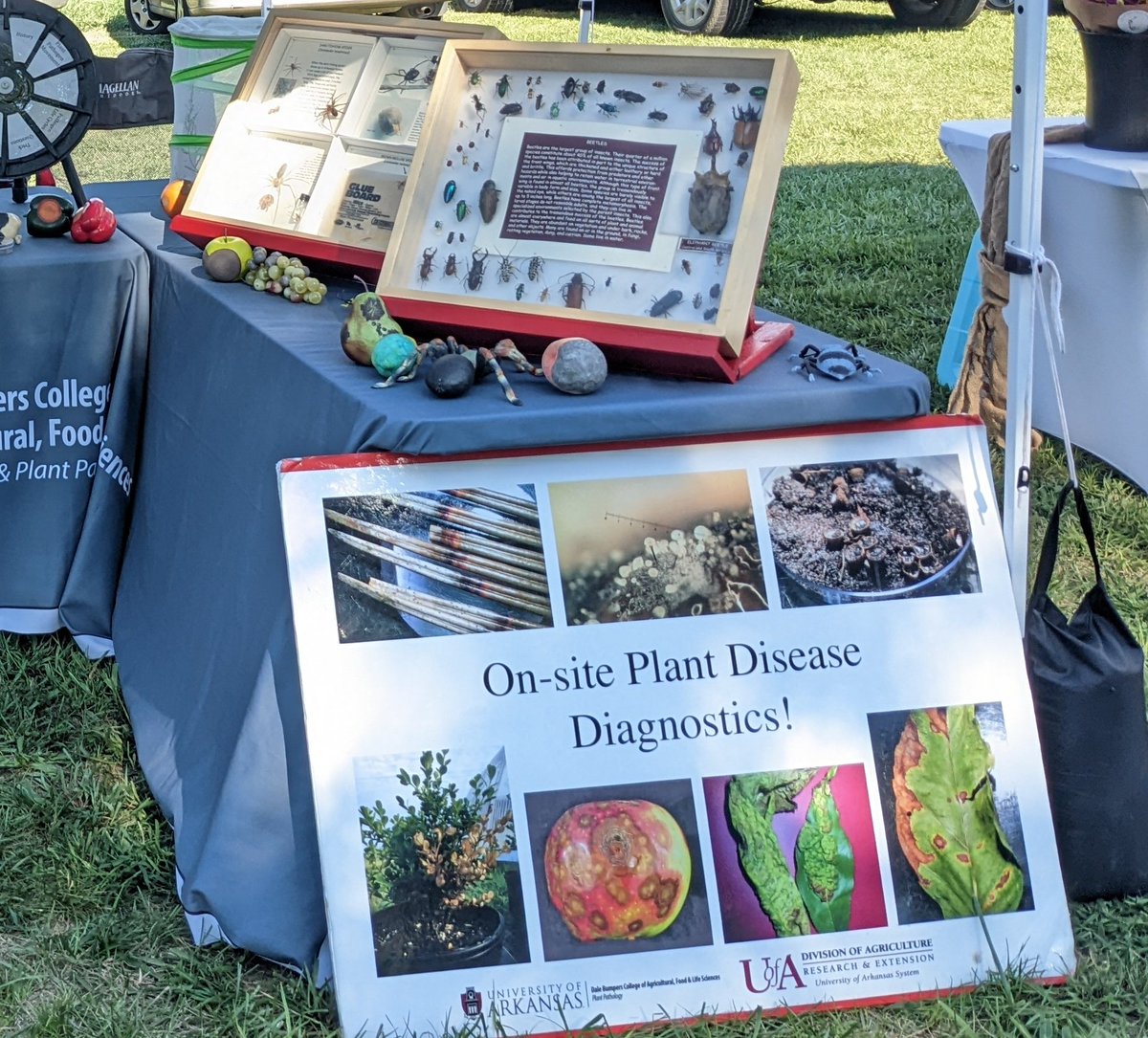 Qiurong Fan (@qiurongf) on Twitter photo Entomology and Plant Pathology outreach booth at the Goshen farmers' market yesterday. Thanks to the Goshen community for providing a great opportunity for us to engage with the public and communicate science. <a href="/ArkansasEPP/">Arkansas Entomology and Plant Pathology</a> Entomology and Plant Pathology outreach booth at the Goshen farmers' market yesterday. Thanks to the Goshen community for providing a great opportunity for us to engage with the public and communicate science. <a href="/ArkansasEPP/">Arkansas Entomology and Plant Pathology</a>