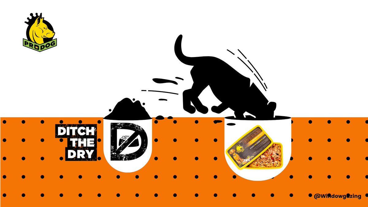 A <a href="/OneMinuteBriefs/">One Minute Briefs ⏱️</a> with <a href="/ProDogRaw/">ProDog Raw</a> for #DitchTheDry #ProdogRawUK