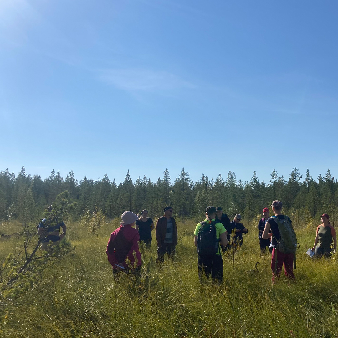 TAPIOForestry's tweet photo. #TurVI-sidosryhmäretkeilyllä tutustuttiin hankkeen Pudasjärven Virtalansuolla sijaitsevaan pilottialueeseen.🌿🌳Mukava päivä, kiitos osallistujille!
Seuraava koulutus 7.9. on suunnattu suunnittelijoille👉https://t.co/cBi482rrF7
@LukeFinland @SYKEinfo @metsakeskus @Tornator3 https://t.co/FlBCkK6pVz
