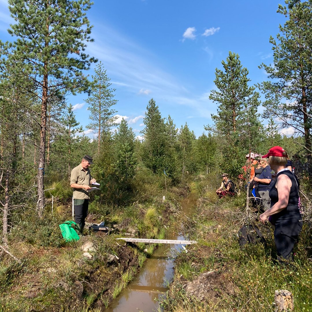 TAPIOForestry's tweet photo. #TurVI-sidosryhmäretkeilyllä tutustuttiin hankkeen Pudasjärven Virtalansuolla sijaitsevaan pilottialueeseen.🌿🌳Mukava päivä, kiitos osallistujille!
Seuraava koulutus 7.9. on suunnattu suunnittelijoille👉https://t.co/cBi482rrF7
@LukeFinland @SYKEinfo @metsakeskus @Tornator3 https://t.co/FlBCkK6pVz