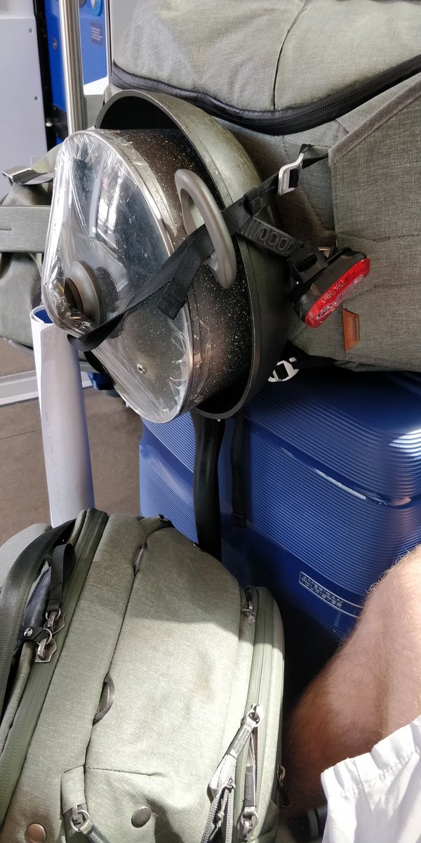 René Steeman tweet media