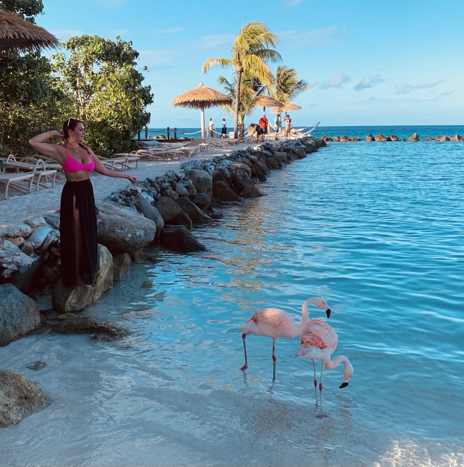 Jason Britt on Twitter "When your wife loves birds and especially flamingos you take her to