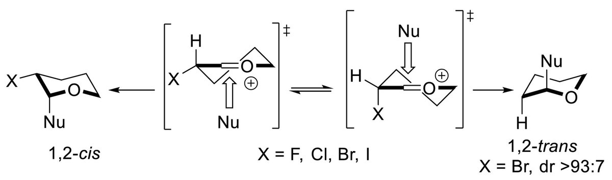THansenChem's tweet photo. ⚠️ Also in love with stereoelectronic effects? ⚠️ 

In our new @angew_chem paper we studied halogen atom participation in guiding the stereochemical outcomes of acetal substitution reactions!⚡️ Thrilled to publish this work with Keith Woerpel!💯

📖 ➡️ https://t.co/iSjOsbsE8v https://t.co/mzzP2CV1BG