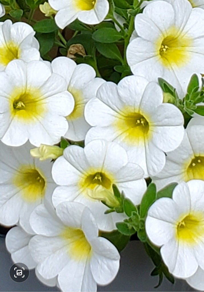 #GoodMorning #HappyFriday - It's 8:19 at 8:19
Happy Birthday to me! 🌹
Will be a very special fun family time...
🎉🎈⛱🍾🎂🌼