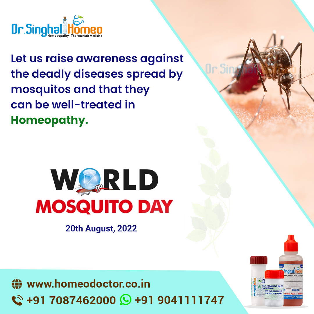 Let us raise awareness against the deadly diseases spread by mosquitos and that they can be well-treated in Homeopathy.

WORLD MOSQUITO DAY

#worldmosquitoday #mosquito #dengue #mosquitoes #mosquitobites #pestcontrol #mosquitos #insects #insect #worldmosquitoday2022