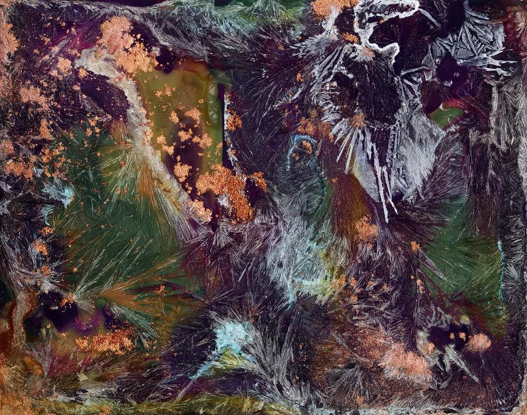 Sarah Darke Arts tweet media