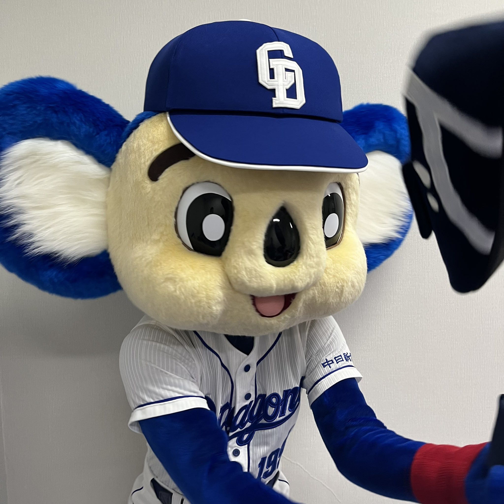 最安値！新品未開封 ショップチャンネルで大人気