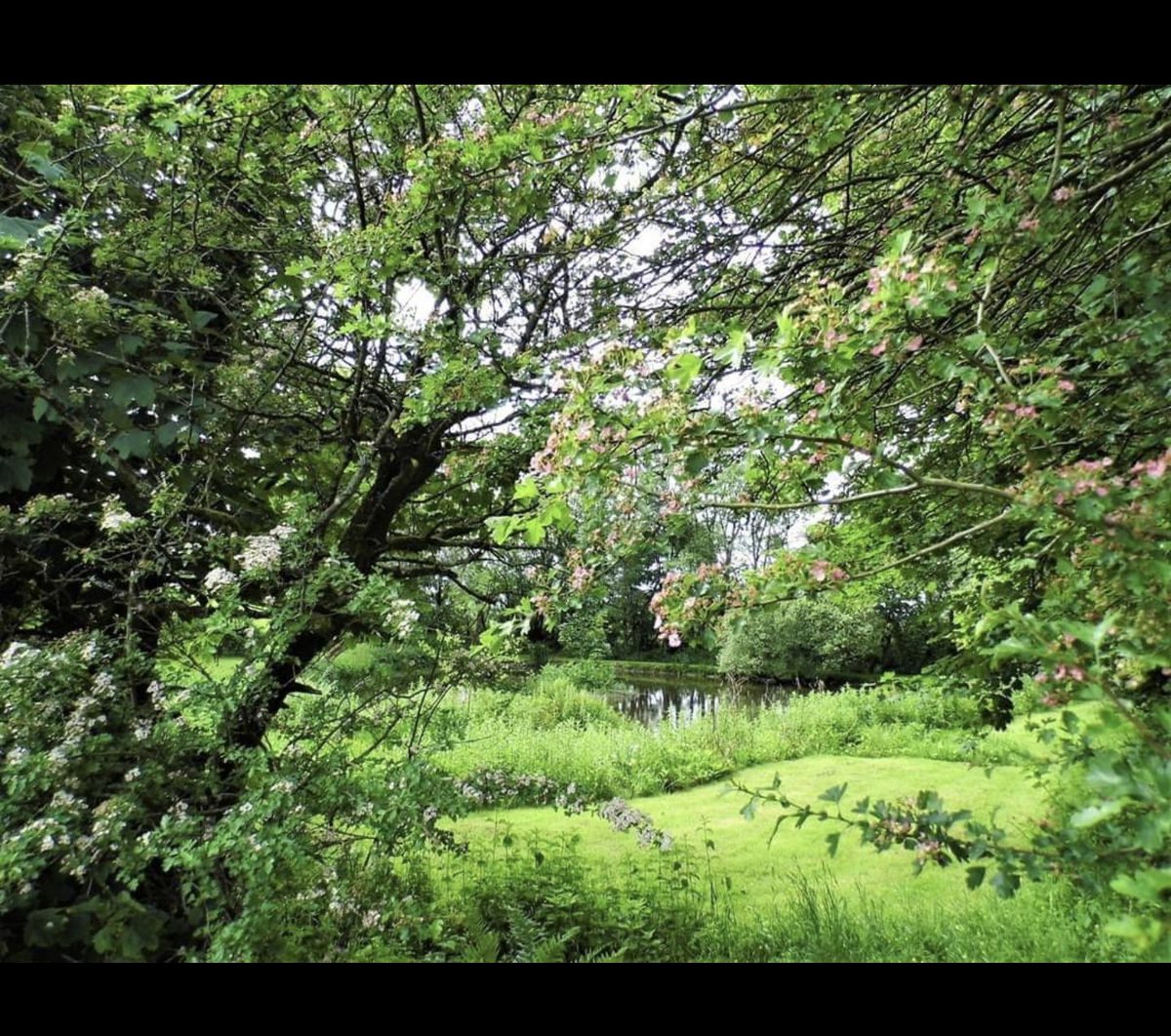 <a href="/dolcoed/">Dolcoed</a> #naturists Get away this Aug &amp; Sept with your caravan, motorhome or camping,  or use our static or glamping pod.
Don't miss out, Call 01559 395820 to Book <a href="/britnaturism/">British Naturism</a> <a href="/HEnaturist/">H&E naturist</a>
<a href="/UKNaturism/">UK Naturism</a>