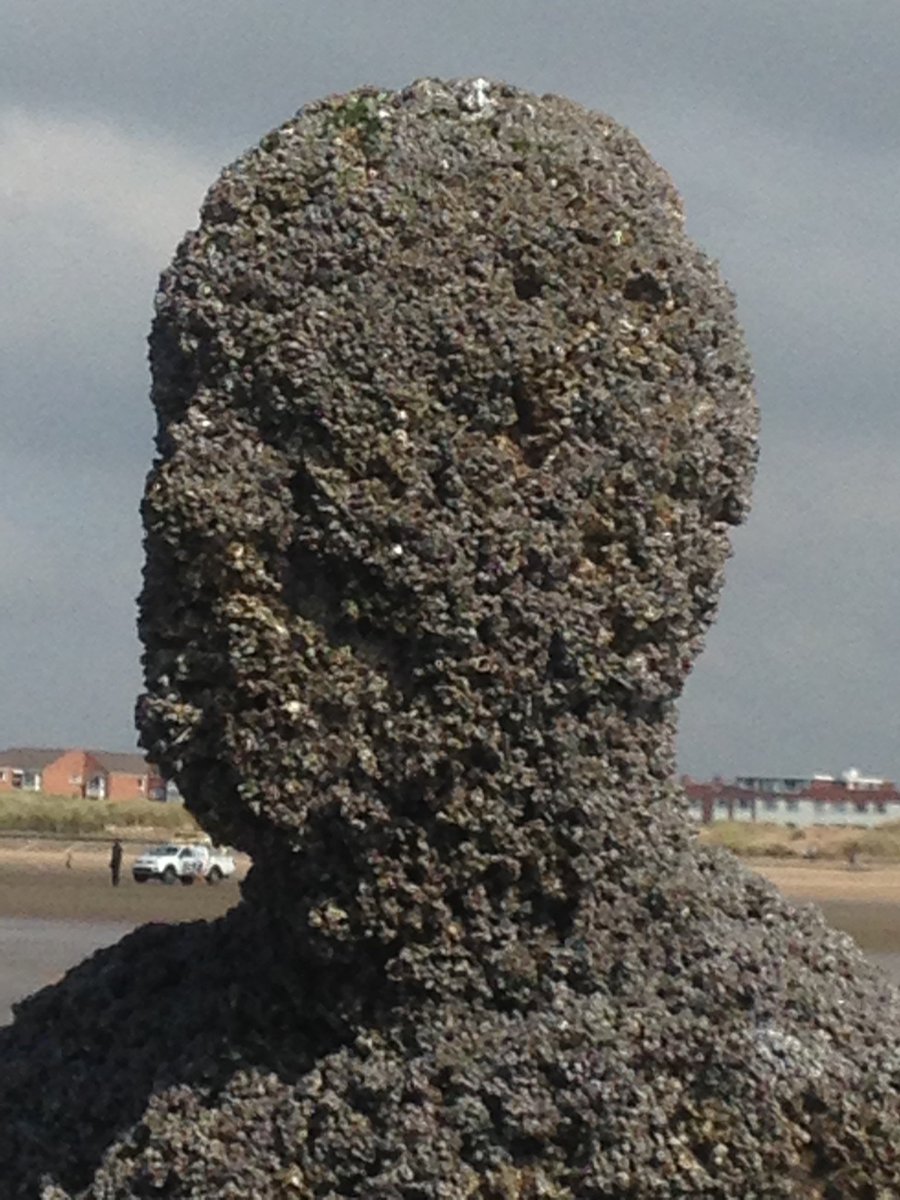 gilliandon's tweet photo. @Alan_Measles Love the place but haven’t been in a while. Our first visit we came across several jelly fish on the beach too. https://t.co/Ctp65nSk9W