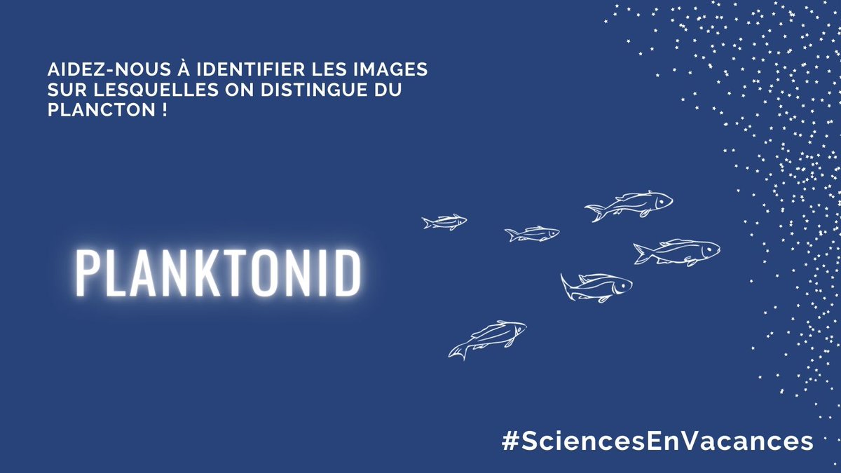 CNRS_INSU's tweet photo. Quel rôle jouent les rhizaires, organismes de #zooplancton unicellulaires, dans le transport du #carbone depuis la surface vers l'#océan profond ❓
Pour le comprendre, nos équipes de recherche les traquent à l’aide de caméras sous-marines...🎥
#STAMAR
➡️https://t.co/aEZUtPlVZB https://t.co/rIn76Yliep