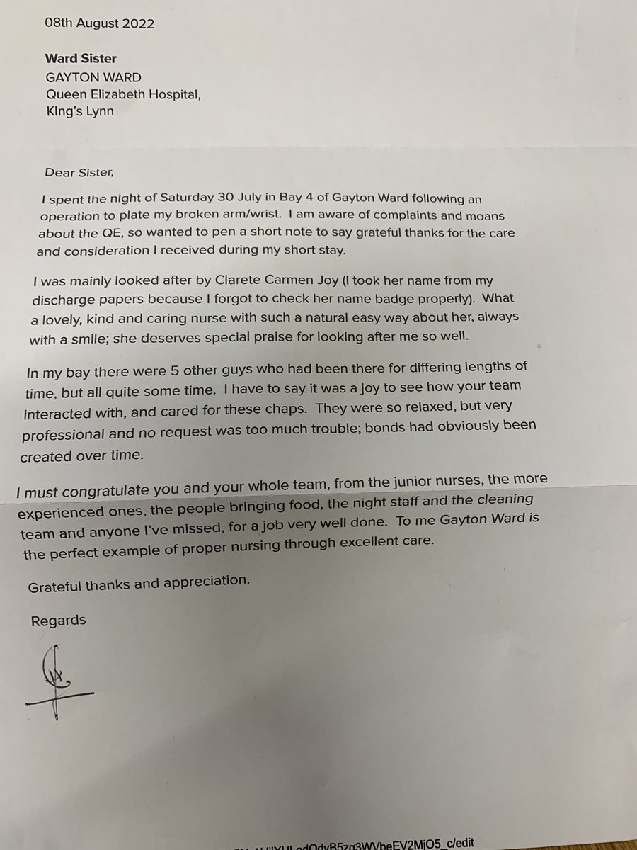 Daisy Moll tweet media