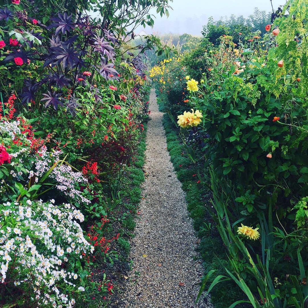 AcademiaAesthe1's tweet image. Claude Monet’s garden in Giverny, France