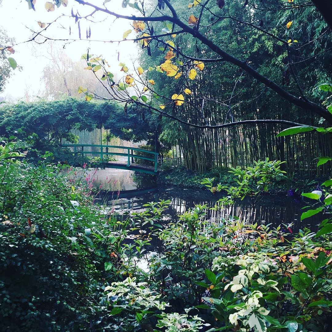 AcademiaAesthe1's tweet image. Claude Monet’s garden in Giverny, France