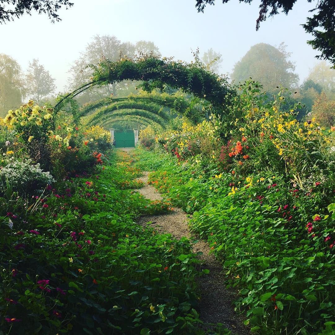 AcademiaAesthe1's tweet image. Claude Monet’s garden in Giverny, France