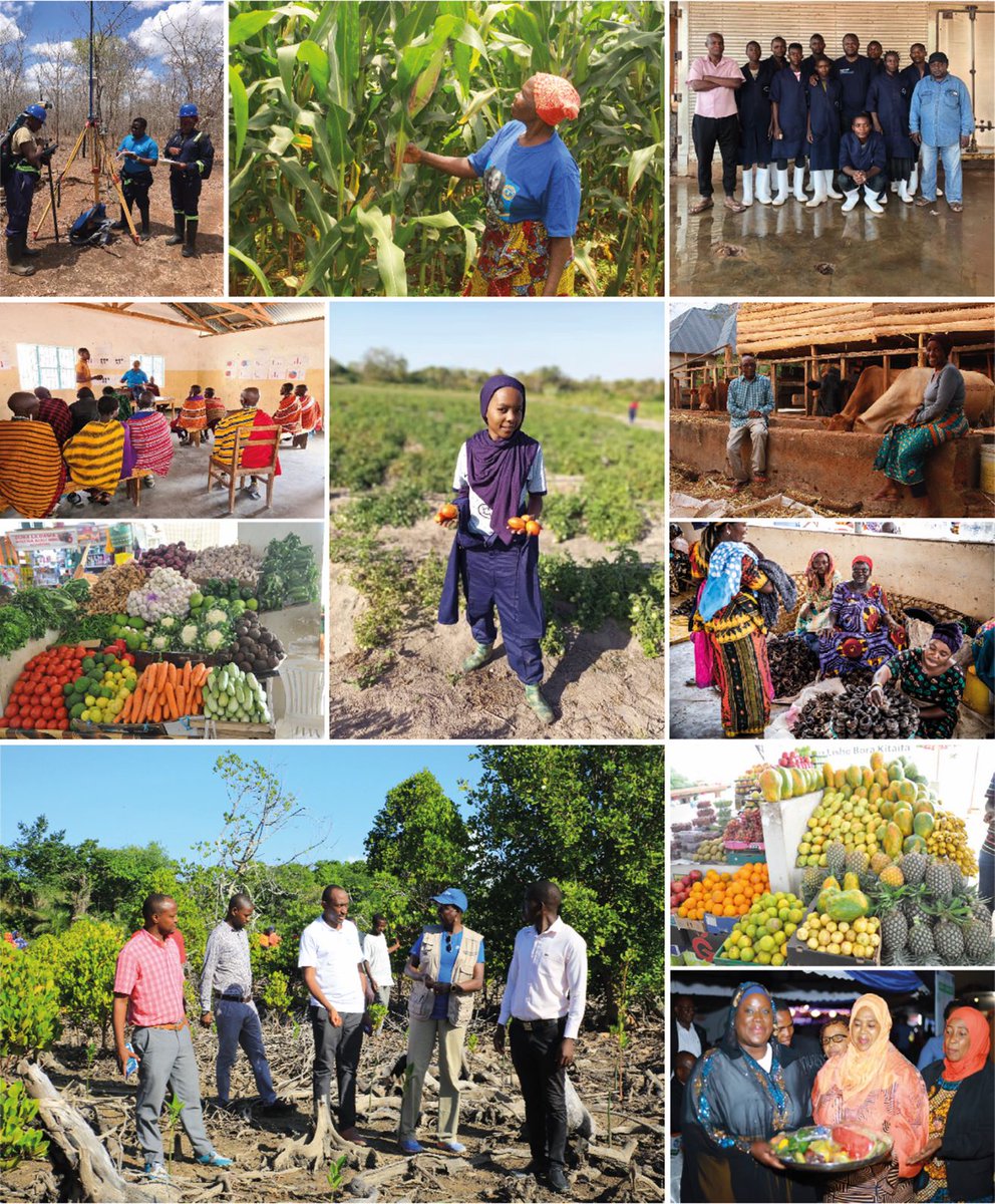 FAOTanzania's tweet photo. #ItTakesAVillage to 

🥬 ensure access to nutritious food
👨🏾‍🌾 improve livelihoods
🦋 protect ecosystems
💉 respond to emergencies

@FAO #Tanzania celebrates colleagues and partners who work tirelessly to support vulnerable communities in the country. 

#WorldHumanitarianDay https://t.co/93DlLmFTjo