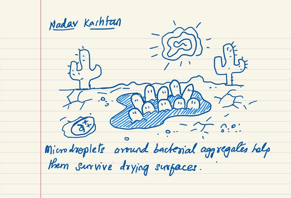 Love everything microbes do to survive! 
Notes taken during talks at #isme18