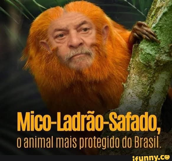 homem.do.espaco tweet media